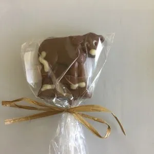 chocolate cow3